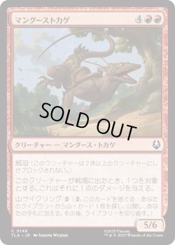 画像1: マングーストカゲ/Mongoose Lizard (TLA)