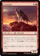 トラマジロ/Tiger-Dillo (TLA)