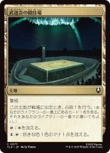 武道会の闘技場/Rumble Arena (TLA)