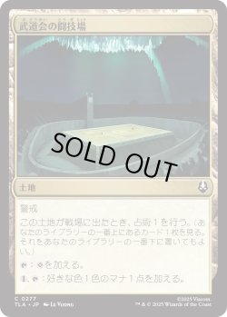 画像1: 武道会の闘技場/Rumble Arena (TLA)