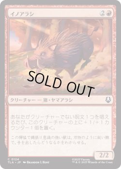 画像1: イノアラシ/Boar-q-pine (TLA)