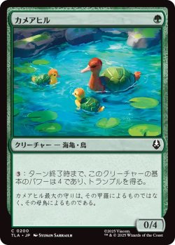 画像1: カメアヒル/Turtle-Duck (TLA)