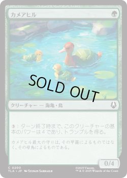 画像1: カメアヒル/Turtle-Duck (TLA)