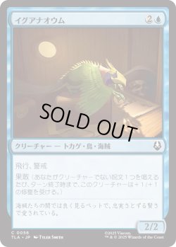 画像1: イグアナオウム/Iguana Parrot (TLA)