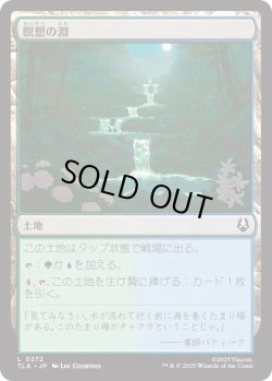 画像1: 瞑想の淵/Meditation Pools (TLA)