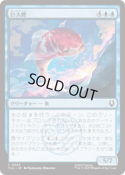 画像1: 巨大鯉/Giant Koi (TLA)