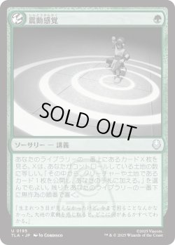 画像1: 震動感覚/Seismic Sense (TLA)