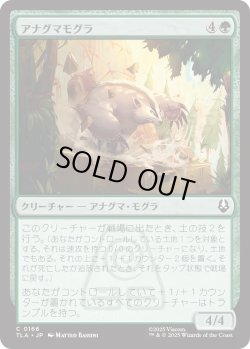 画像1: アナグマモグラ/Badgermole (TLA)