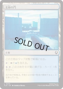 画像1: 北極の門/North Pole Gates (TLA)