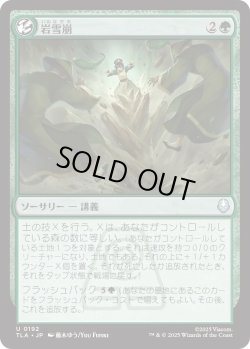 画像1: 岩雪崩/Rockalanche (TLA)