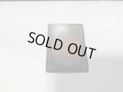 画像3: Bayou (3ED)【英語・HPLD】【ブラックフライデー セール！！】