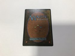 画像3: Tundra (3ED)【英語・EX〜EX-】【ブラックフライデー セール！！】