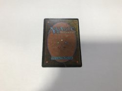 画像3: Scrubland (3ED)【英語・HPLD】【ブラックフライデー セール！！】