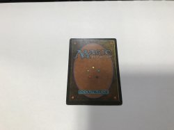 画像3: Taiga (3ED)【英語・PLD】【ブラックフライデー セール！！】