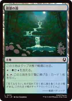 画像1: 瞑想の淵/Meditation Pools (TLA)《Foil》