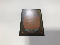 画像3: Tropical Island (3ED)【英語・NM〜NM-】【ブラックフライデー セール！！】