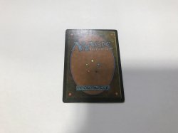 画像3: Savannah (3ED)【英語・PLD】【ブラックフライデー セール！！】