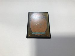 画像3: 硫黄泉/Sulfurous Springs (7ED)《Foil》【サインド】【ブラックフライデー セール！！】