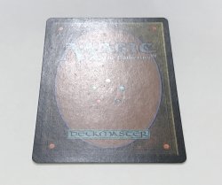 画像3: 平地/Plains (GURU Land)【サインド】【ブラックフライデー セール！！】