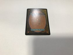 画像3: もみ消し/Stifle (SCG)《Foil》【英語・HPLD】【ブラックフライデー セール！！】