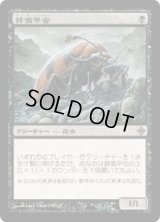 葬儀甲虫/Mortician Beetle (ROE)《Foil》