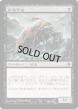 画像1: 葬儀甲虫/Mortician Beetle (ROE)《Foil》