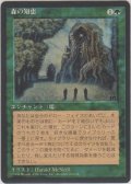 森の知恵/Sylvan Library (4ED)【黒枠版】