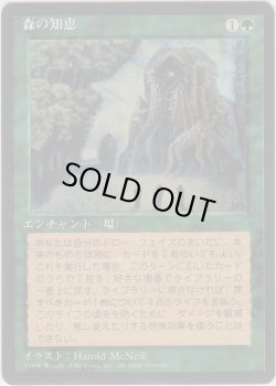 画像1: 森の知恵/Sylvan Library (4ED)【黒枠版】