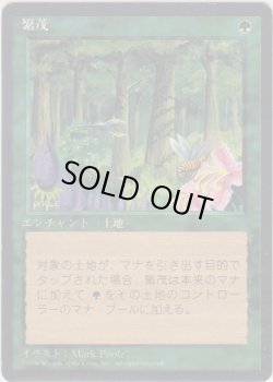画像1: 繁茂/Wild Growth (4ED)【黒枠版】