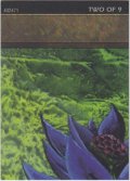 Black Lotus 【Ultra Pro Puzzle Cards・2/9】 (その他 プロモ)