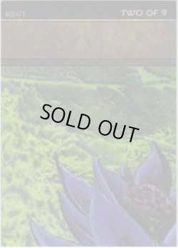 画像1: Black Lotus 【Ultra Pro Puzzle Cards・2/9】 (その他 プロモ)