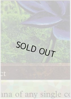 画像1: Black Lotus 【Ultra Pro Puzzle Cards・5/9】 (その他 プロモ)