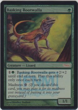 画像1: 日を浴びるルートワラ/Basking Rootwalla (FNM)