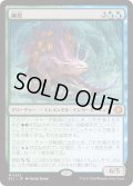 幽愁/Wistfulness (ECL)