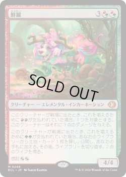 画像1: 鮮麗/Vibrance (ECL)