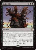 血統の召集/Bloodline Bidding (ECL)