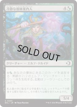 画像1: 冷静な樹林案内人/Stoic Grove-Guide (ECL)