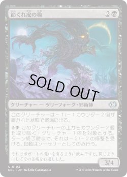 画像1: 節くれ皮の楡/Gnarlbark Elm (ECL)