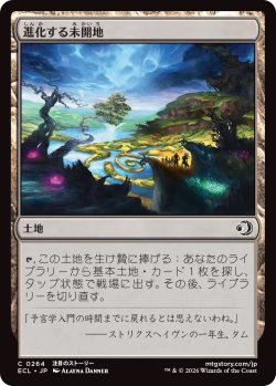 画像1: 進化する未開地/Evolving Wilds (ECL)