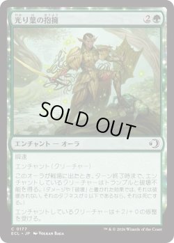 画像1: 光り葉の抱擁/Gilt-Leaf's Embrace (ECL)