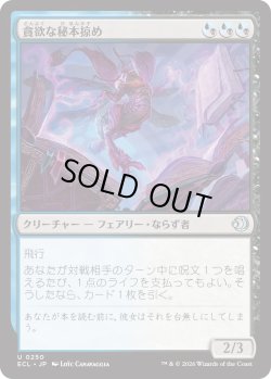 画像1: 貪欲な秘本掠め/Voracious Tome-Skimmer (ECL)