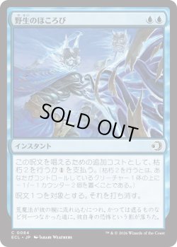 画像1: 野生のほころび/Wild Unraveling (ECL)