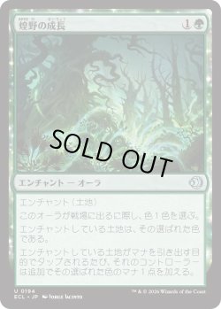 画像1: 煌野の成長/Shimmerwilds Growth (ECL)