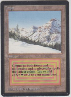 画像1: Taiga (LEB) 　【EX-】　B