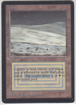 画像1: Tundra　 (LEB)   【EX-】　C　【☆高額トレジャー☆】