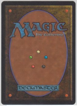 画像2: Scrubland 【NM〜NM-】 B (LEB)【☆高額トレジャー☆】