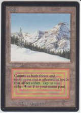 Taiga 【NM〜NM-】 A (LEB)【☆高額トレジャー☆】