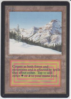 画像1: Taiga 【NM〜NM-】 A (LEB)【☆高額トレジャー☆】