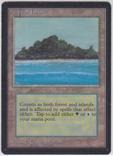 Tropical Island 【NM〜NM-】 C (LEB)【☆高額トレジャー☆】