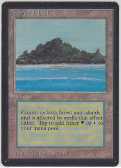 画像1: Tropical Island 【NM〜NM-】 C (LEB)【☆高額トレジャー☆】